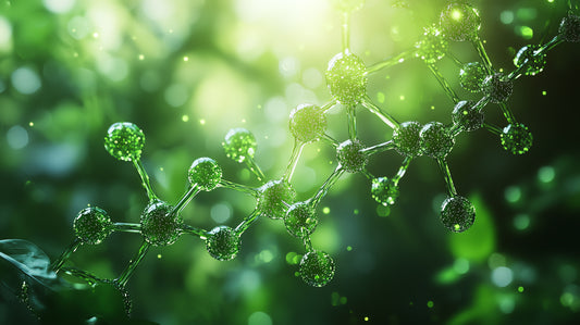 The Science of Green Tea for Weight Loss